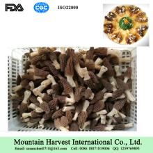 Dried Morchella Mushroom