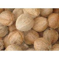 Semi Husked Coconut/ Fresh Husk Coconut origin South Africa