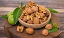 Dry Nuts in Shell Walnuts $500USD/Ton