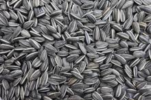 Sunflower oil,Seeds