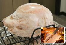  Frozen   Whole  Chicken and Parts, Frozen   Duck ,Ostrich,Turkey and other table birds