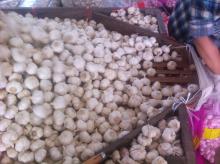 Fresh garlic