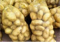  Fresh   Sweet   Potato  /  Sweet   Potato es for sale