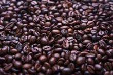  Robusta   Coffee  Bean for  sale 