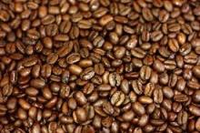 Raw Arabica and Robusta Coffee Beans for sale