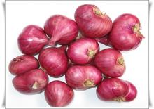 FRESH RED ONION/ INDIAN ONION/RED SHALLOT