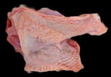 Frozen Turkey Drummette, drumstick Skin On