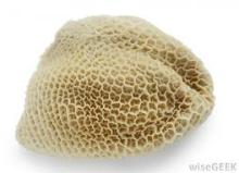 Beef Bleached tripe