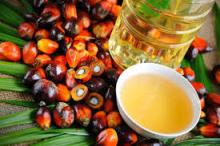 PALM FATTY ACIDS OIL