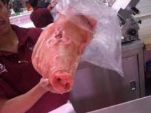 Frozen Pork Head
