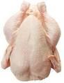 Frozen Chicken Grillers/Whole Chicken/Chicken Feet/Chicken Breast
