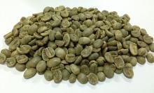Robusta coffee beans