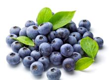 Wild Blueberry Extract Anthocyanin 5%-25%