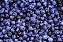 Bilberry Extract Anthocyanin 5% -25%
