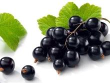  Blackcurrant  Juice Powder