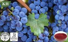 Natural  black   currant   extract  Anthocyanidins