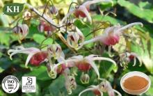 Kingherbs  natural  Epimedium  Extract  Icariin, Icariins