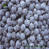 Chinese frozen blueberry