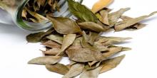 Bay Leaf and Bay Leaf Powder