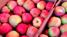 Red Delicious Apple for Sale