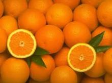  Sweet   Orange s for Sale