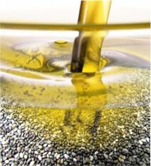 100% Pure Chia Seed cold-pressed Oil