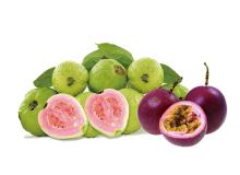 Turnkey Industrial Solutions for Passion fruit, guava processing