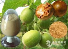 Sweetenter Chinese Luo Han Guo Extract/Mogroside V 25%/Luo han guo extract powder