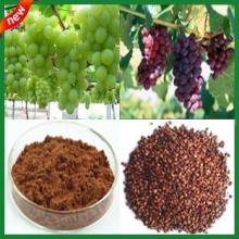 GMP factory Water soluble grape seed extract proanthocyanidin 95%(high orac value).organic