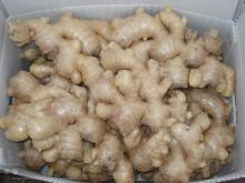  dry   ginger 