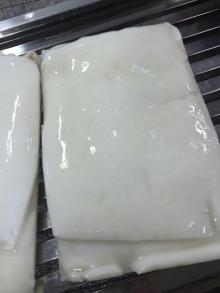 squid tube