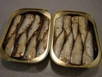 Canned Sardine in Vegetable Oil, Canned Tuna, Canned Fish for sale