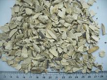 Dried mushroom