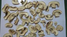 Dried mushroom (champignon)