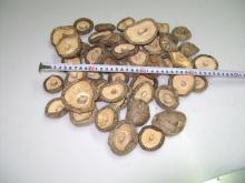  Dried   shiitake 
