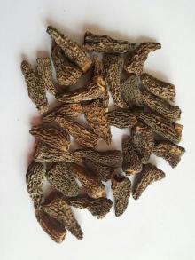 dried morels