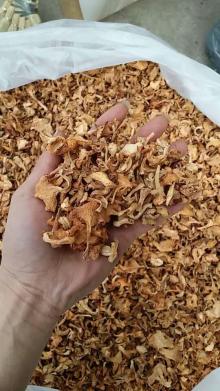 dried chanterelle