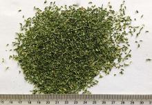  Dried   celery  granules