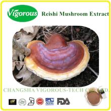Min 98%  Reishi   powder / reishi  mushroom  powder /duanwood  reishi   spore   powder 