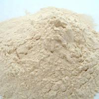 Health! Vital  Wheat   Gluten   Feed   Grade  for sale