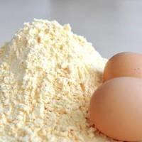 Organic  Whole   Egg   Powder  for sale