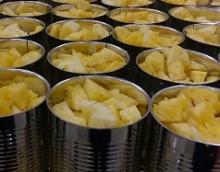 Canned  Pineapple - Queen