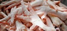 Brazilian Fresh Frozen Chicken Feet and Chicken Paws