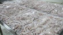 Sell Frozen Chicken Gizzards.Wings,Paws,Feet,Legs,Feet Other Parts