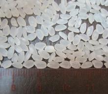  Japonica   Rice  10% Broken