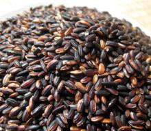 Black Glutinous Rice