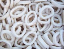 frozen squid ring