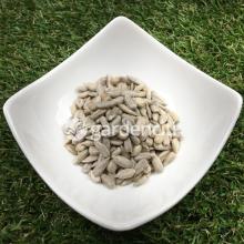  Organic   Sunflower  Kernel Confectionary