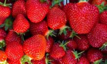 IQF frozen fruits and vegetables