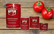  Tomato   Paste   28 - 30 